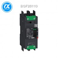 [슈나이더] BGF26110 / 배선용차단기(MCCB) / PowerPact B / 110A 2P AC 35kA at 480/440V / TMD-compression lug -  UL 489 (UL인증)