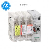 [슈나이더] GS2F3 / 스위치 단로기 / 퓨즈 스위치 디스커넥터 / TeSys GS / Switch-disconnector-fuse / 3P - 50A - NFC 14 x 51 mm